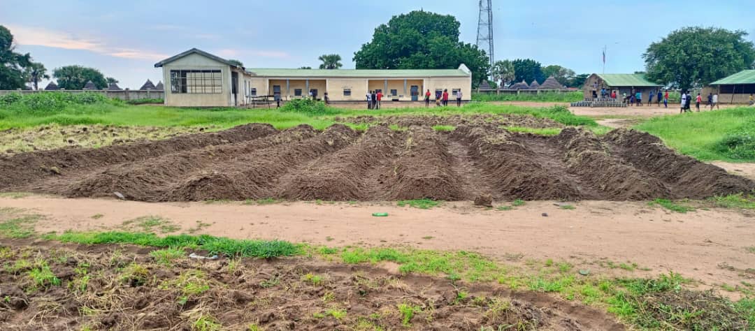 Agricultural facility showing prepared soil mounds for sustainable farming practices